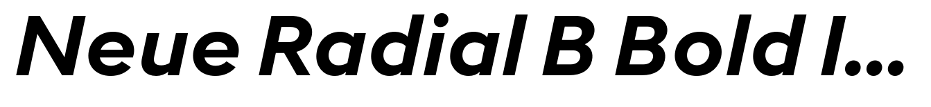 Neue Radial B Bold Italic